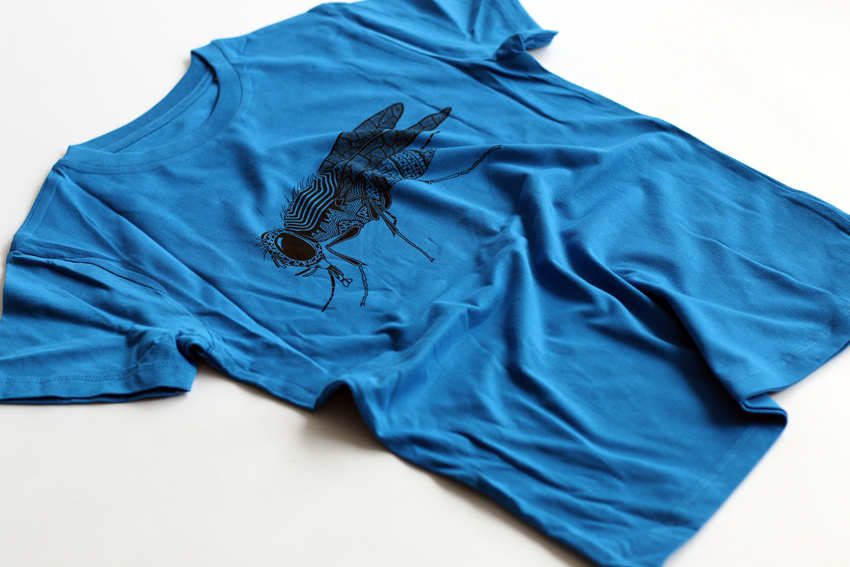 T-shirt - Girls - Royal blue with black Fly - 3-4yrs (TSC006)