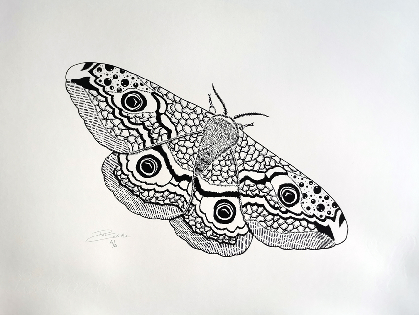Screen print - Small emperor moth (P017)