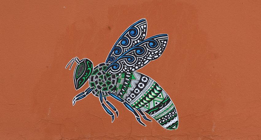 Bee ('Apoidea')