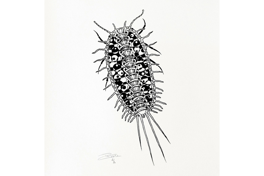 Screen print - Long-tailed mealybug (P014)