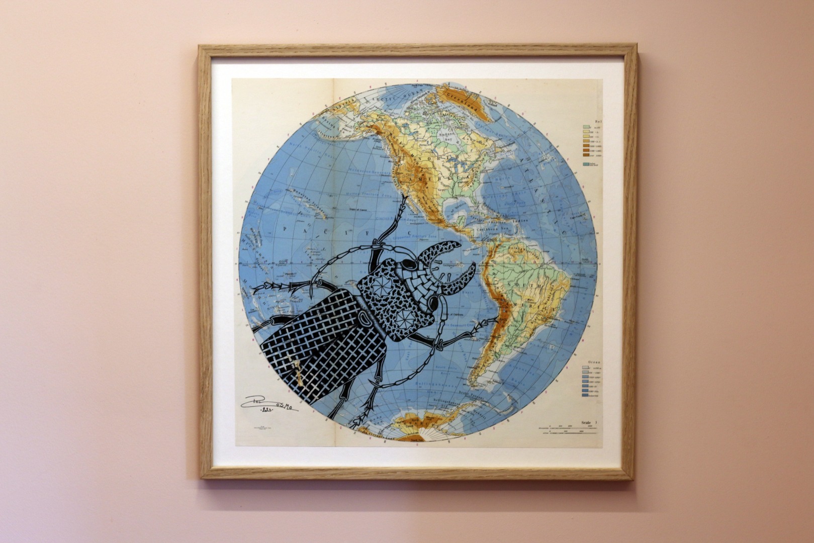 Stenodontes molarius - World map